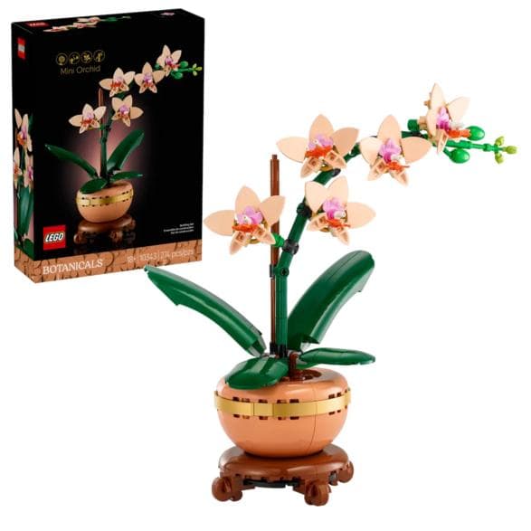 LEGO Botanicals Pieni orkidea (10343)