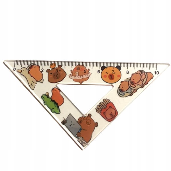 Skolset Kapibara Geometrisk Elevsamling - 4 delar