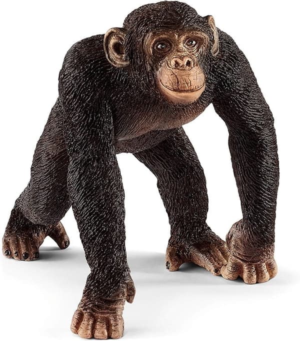 Schleich - Wild Life - 4 hahmon sarja 72162