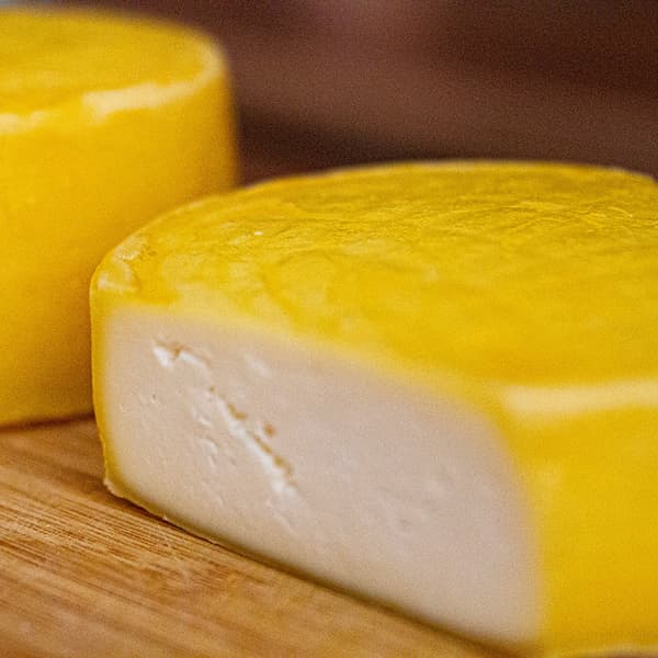 Bakteeriviljelmät sera gouda 3,5 g