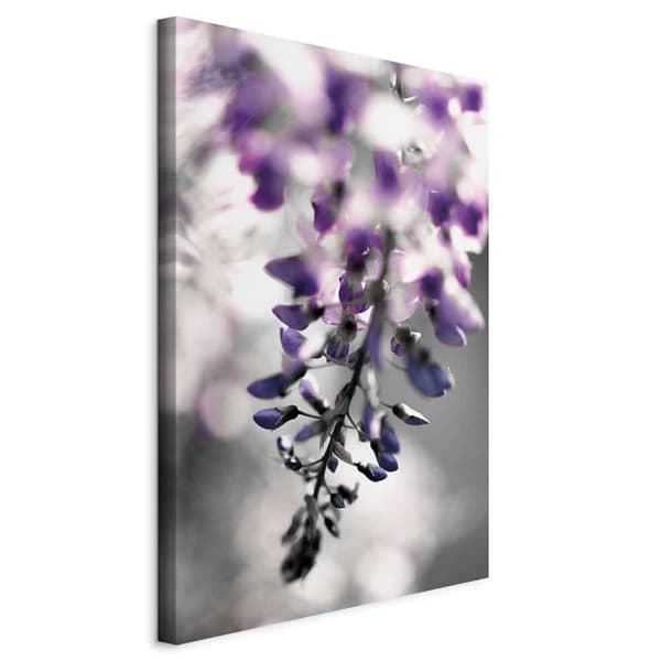 Kuva - Violetit kellot (1-osa) pysty