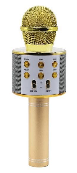 Karaokemikrofon MANTA MIC10-G Guld