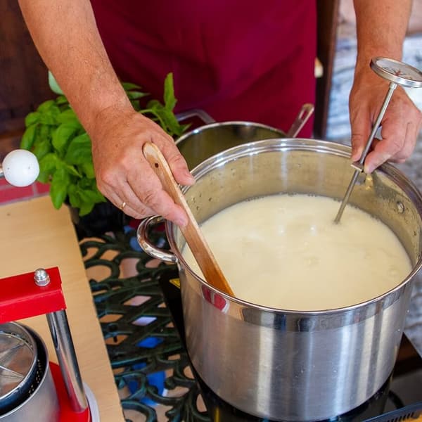 Bakteeriviljelmät raejuustolle 50 litraan maitoa