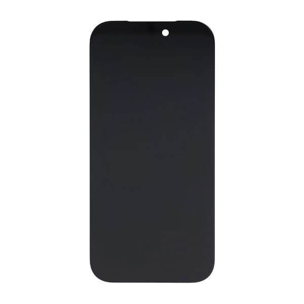 iPhone 17 Pro OLED Skärm Original Begagnad - Diagnostik Pass