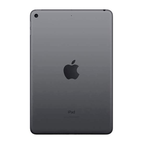 Begagnad iPad Mini 5 256GB Rymdgrå - Använt skick