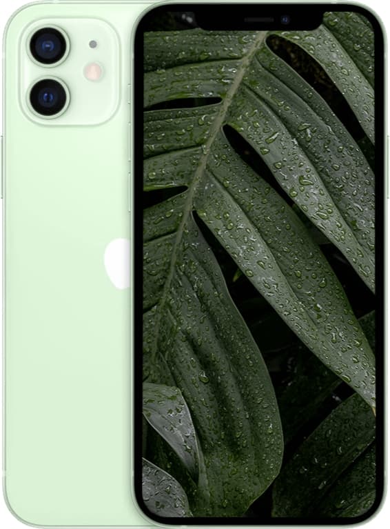 iPhone 12 64GB - 1 År Garanti Begagnad - Grön