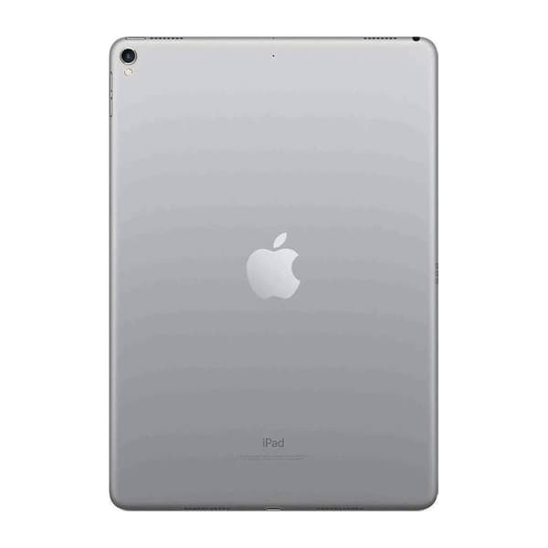 Begagnad iPad Pro (12.9-inch) (2nd generation) + Cellular 256GB Space Gray - Bra skick B