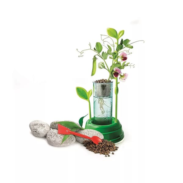Clementoni Science & Play Hydroponisk Botanik – Växtlaboratorium 8+