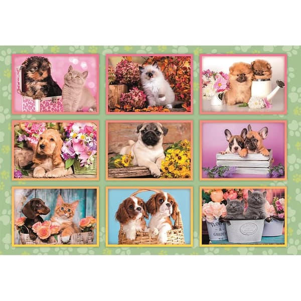 Puppies Collage 180 bitars pussel Clementoni