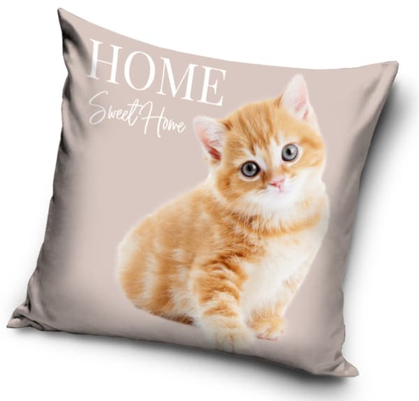 Cat hemkuddfodral 40x40 cm i velour