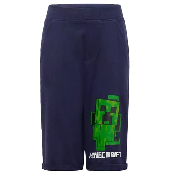 Minecraft barnshorts 10