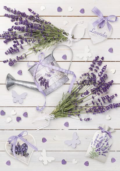 Colour Rustic Lavender A4-dokumentmapp med resår