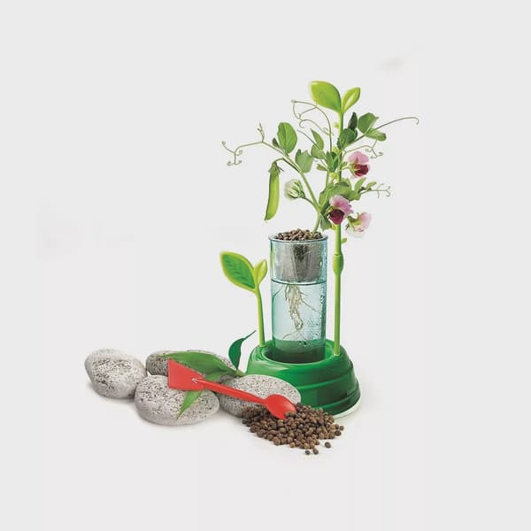 Clementoni Science & Play Hydroponisk Botanik – Växtlaboratorium 8+