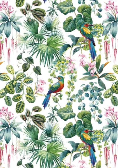 Colour Parrot Nature A4-mapp med elastiskt band