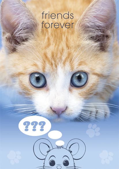 Cat Friends Forever A4 dokumentmapp med resår