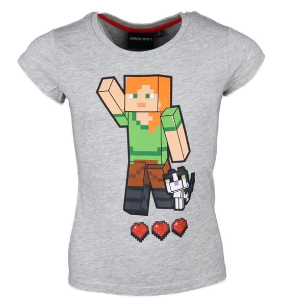 Minecraft T-shirt Barn