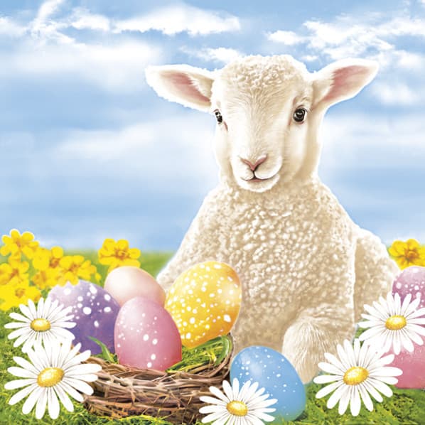 Easter lammservetter 20-pack 33x33 cm