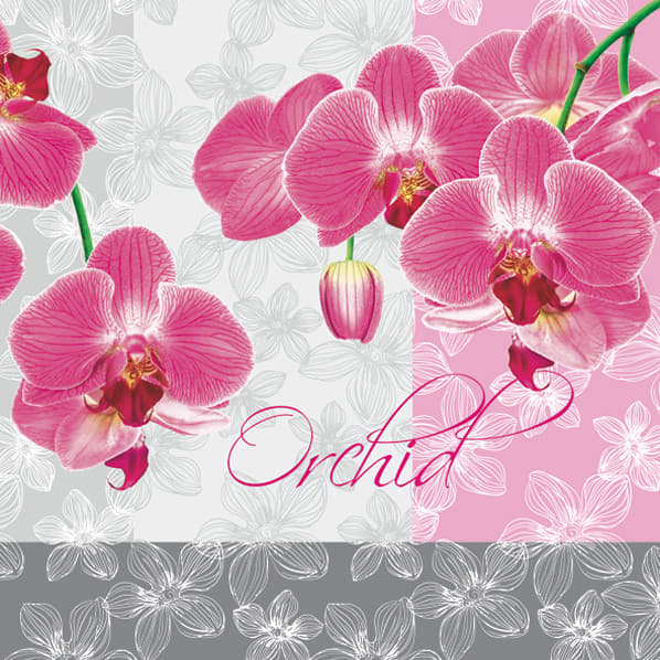 Flower romantiska orkidéservetter 20-pack 33x33 cm