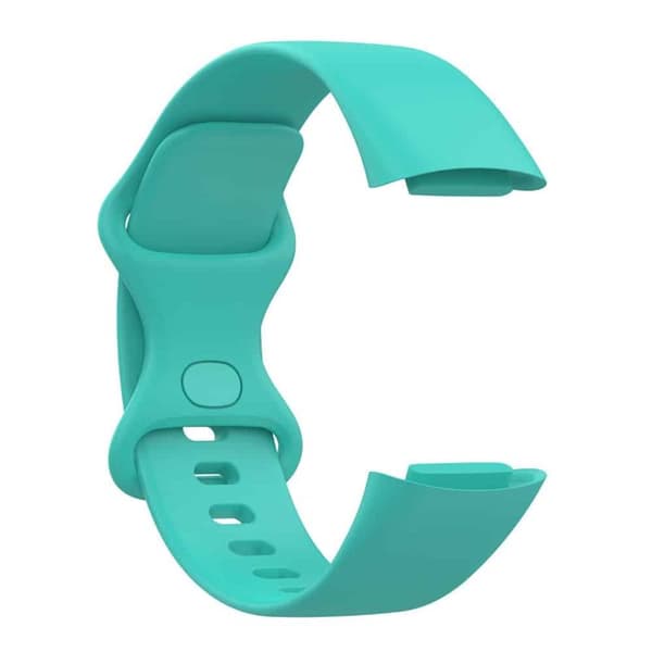 urheilu kellon ranneke Fitbit Charge 6 (L) - Mint