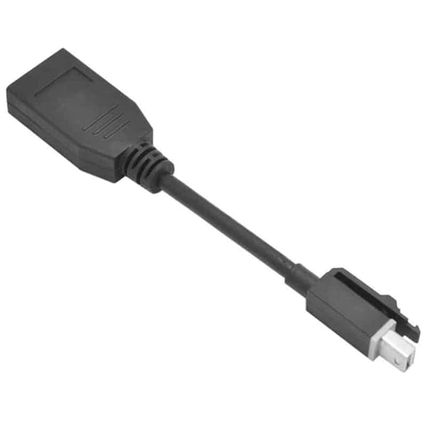 Adapter kabel 15cm mDP han til DP hun