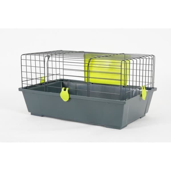 Cage Classic 58 Anis