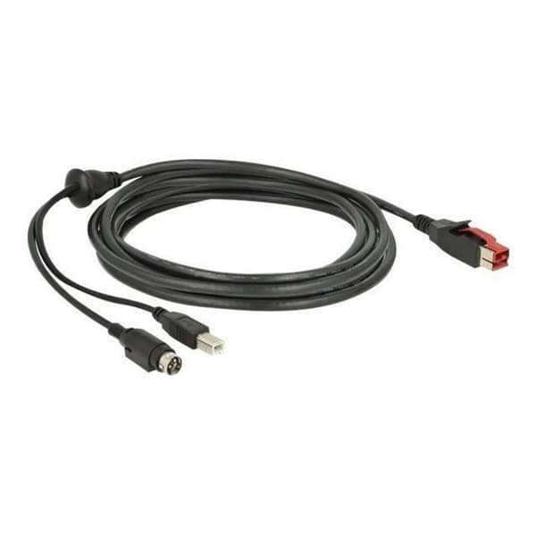 USB-strømledning - DeLOCK - USB PlusPower - 24 V - 3 m - Sort