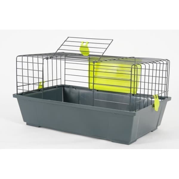 Cage Classic 58 Anis