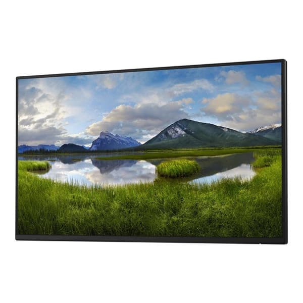 Dell P2425H - LED-skärm - Ful