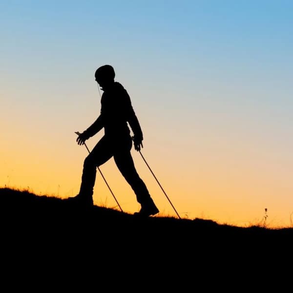 Nordic Walking Stave AHF-084