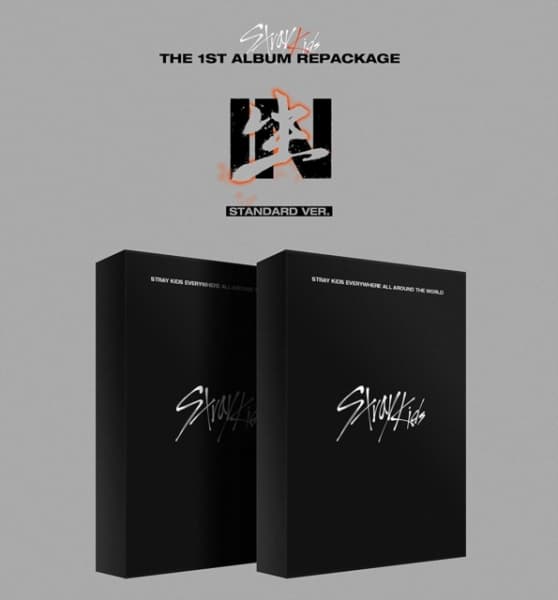 Stray Kids - Vol.1 Repackage (IN LIFE) (Random Versio (CD)