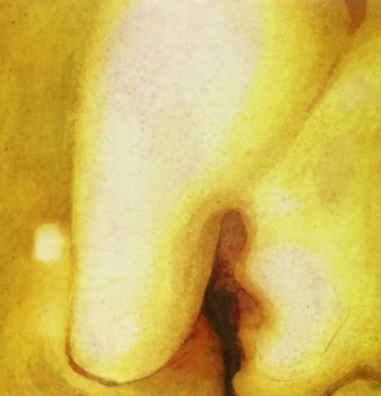 Smashing Pumpkins - Pisces Iscariot (Ltd Deluxe Ed) (LP)