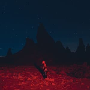 Phoebe Bridgers - Punisher (CD)