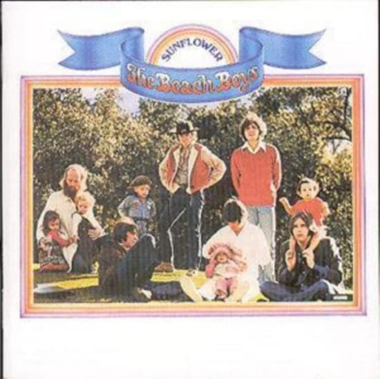 The beach boys - Sunflower/Surf´s Up (CD)