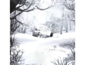 Weezer - Sznz: Winter (LP)