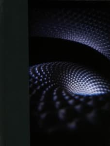 Tool - Fear Inoculum (CD)