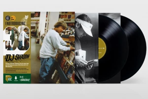 Dj Shadow - Endtroducing.. (30Th Anniversary Edion 2LP) (LP)