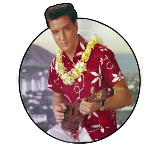 Elvis Presley - Blue Hawaii (Bildevinyl) (LP)