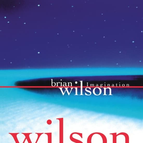 Brian Wilson - Imagination (LP)