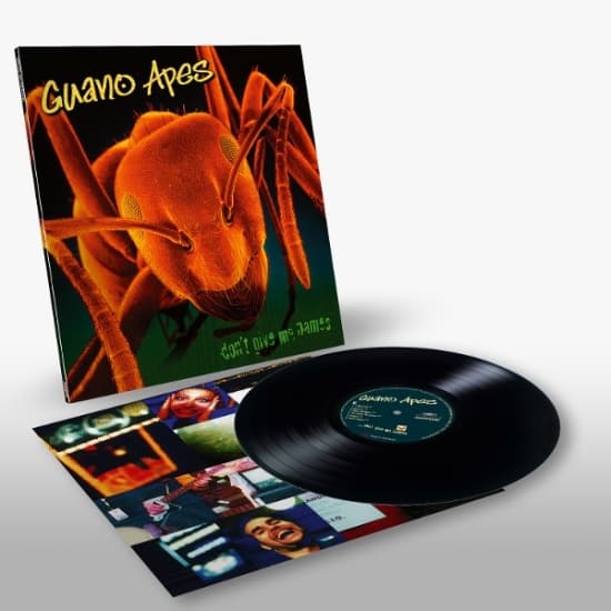 Guano Apes - Don't Give Me Names (LP)