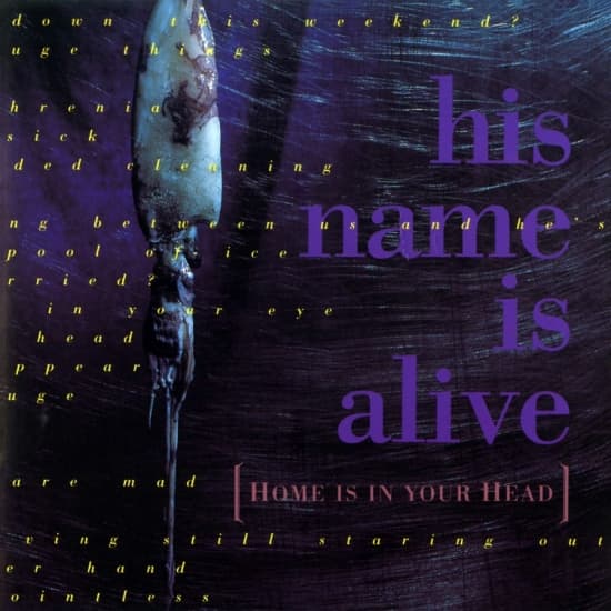 His Name Is Alive - Home Is In Your Head (LP)