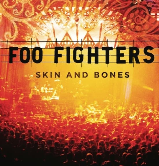 Foo Fighters - Skin And Bones (LP)