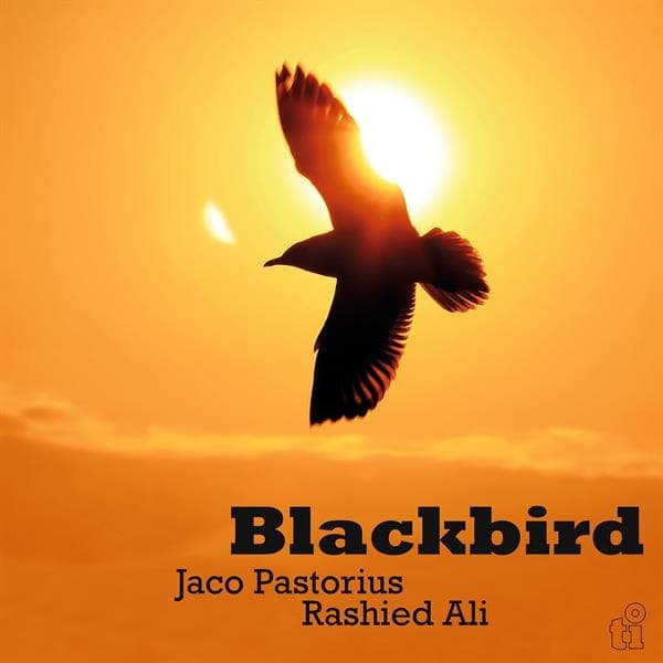 Jaco Pastorius & Rashied Ali - Blackbird (LP)
