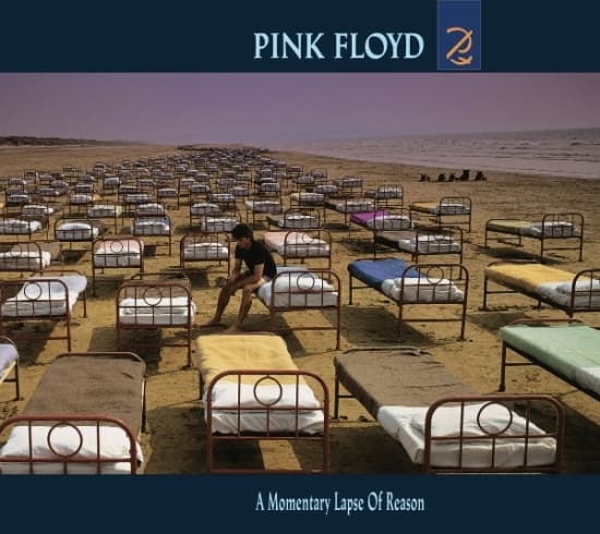 Pink Floyd - A Momentary Lapse Of Reason (CD)