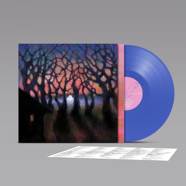Family Stereo - The Thread (LP)