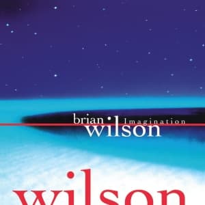 Brian Wilson - Imagination (LP)