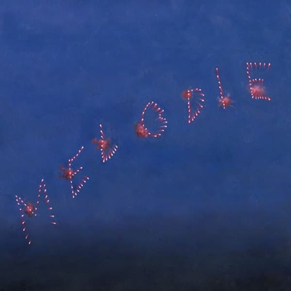Slow Pulp - Melodie (CD)