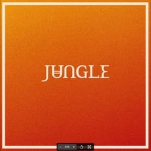 Jungle - Volcano (CD)