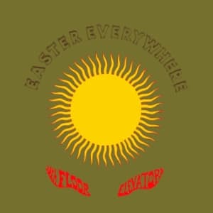 13Th Floor Elevators - Easter Everywhere (LP)