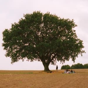 Aphaca - Vild Ungdom (LP)
