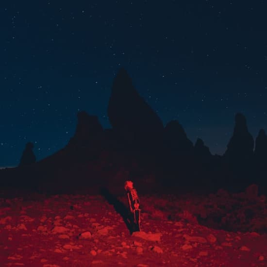 Phoebe Bridgers - Punisher (CD)